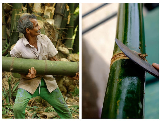Keeping it Local: How a Bamboo Resort in Sri Lanka is Grabbing Global Attention
