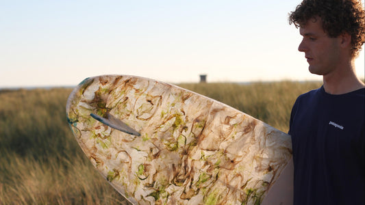 The Sea Lettuce Surfboard and Other Tales of Unconventional Wisdom